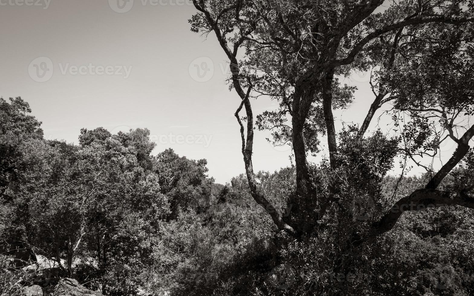 Blick vom Tafelberg Nationalpark Kapstadt. foto