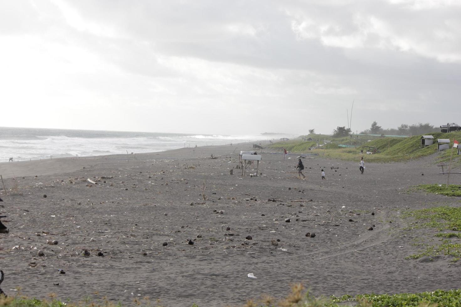 Foto von schwarz Sand Strand während das Tag