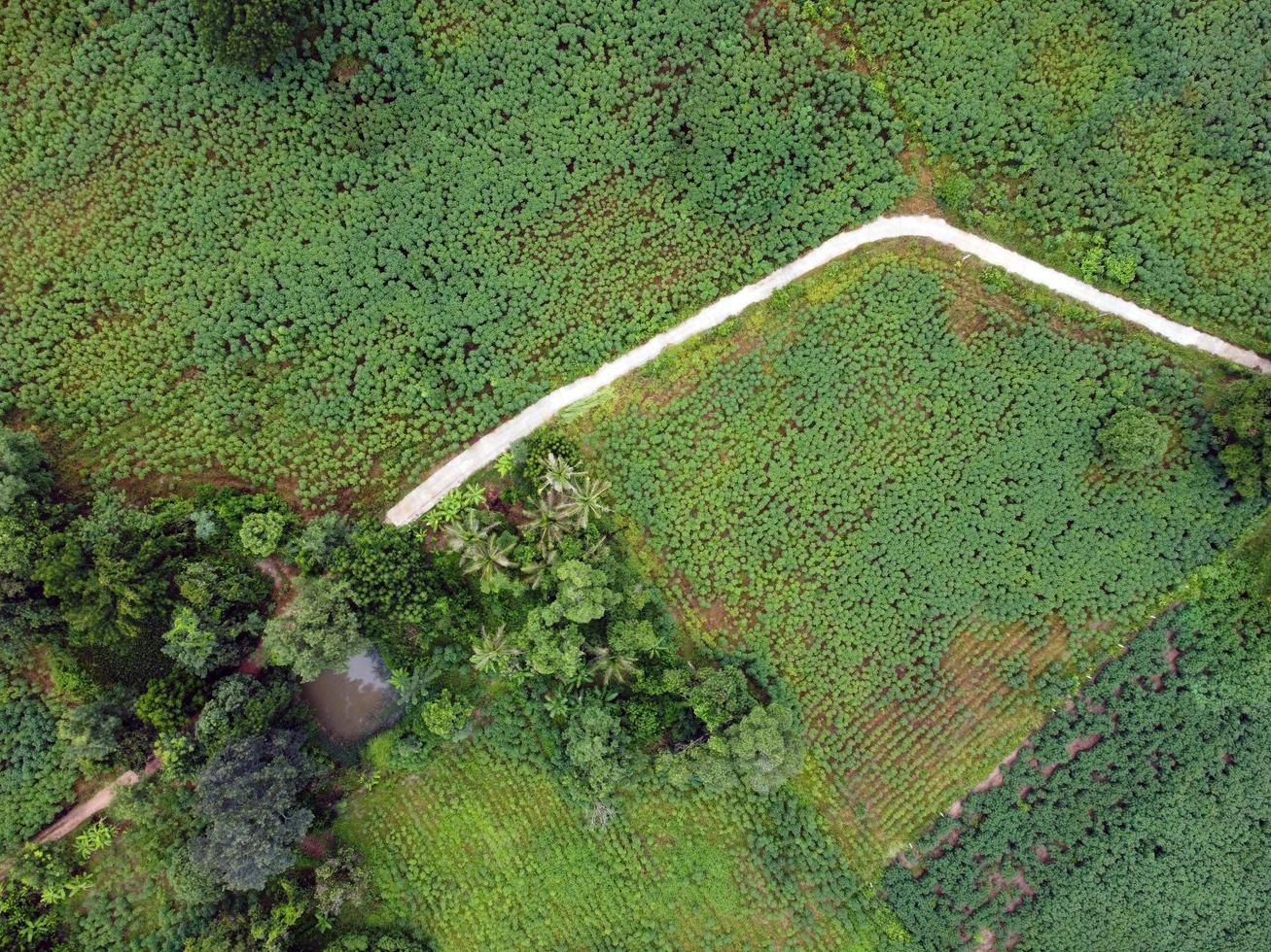 Von Drohnen aufgenommene Luftaufnahmen zeigen das Grün landwirtschaftlicher Flächen. foto