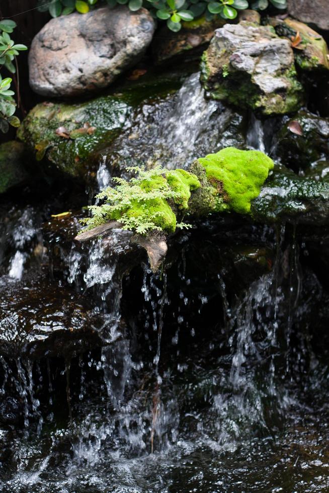 kleiner Wasserfall im Wald foto