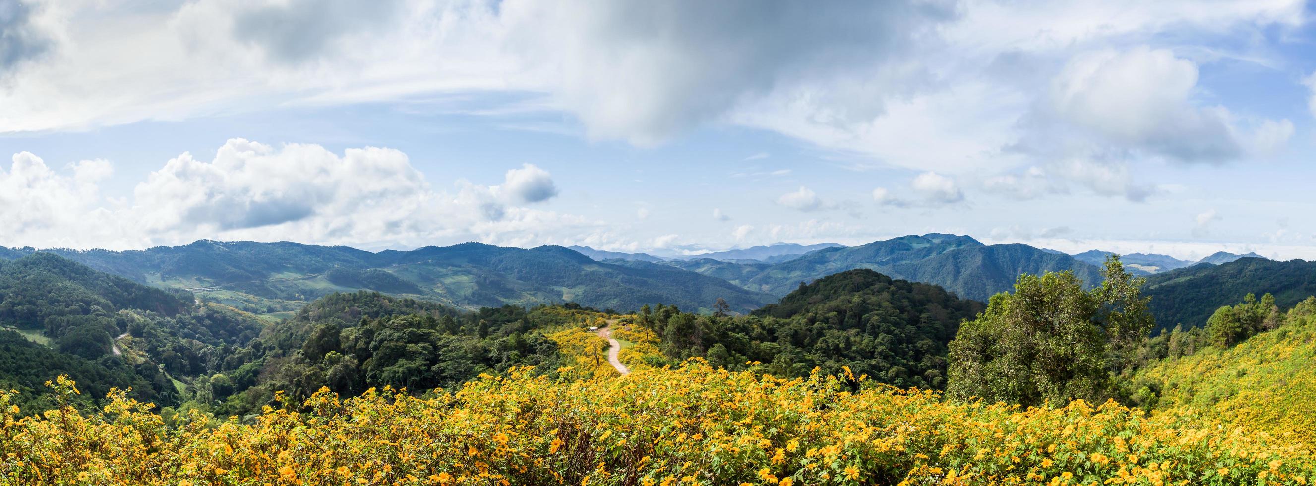 Feld der Blumen und Berge foto