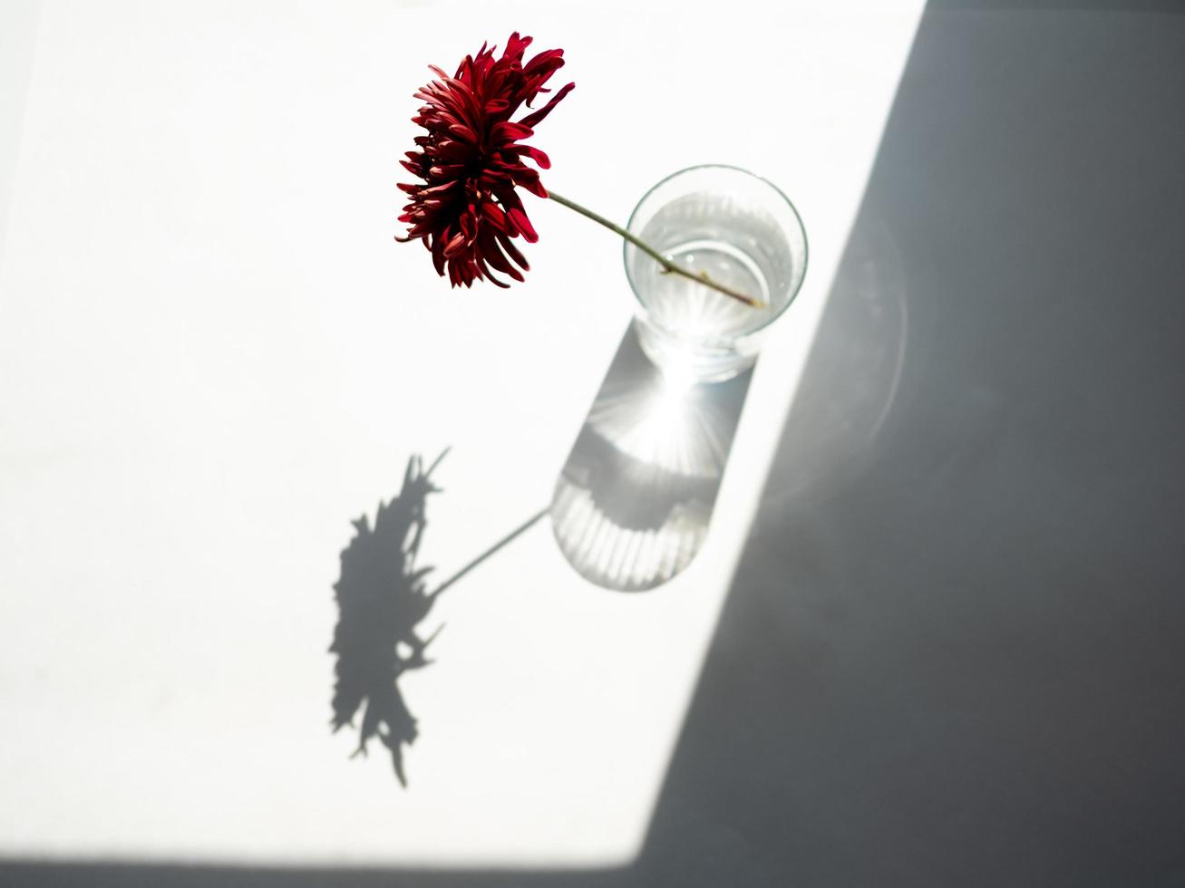 rote Blumen im Glas foto