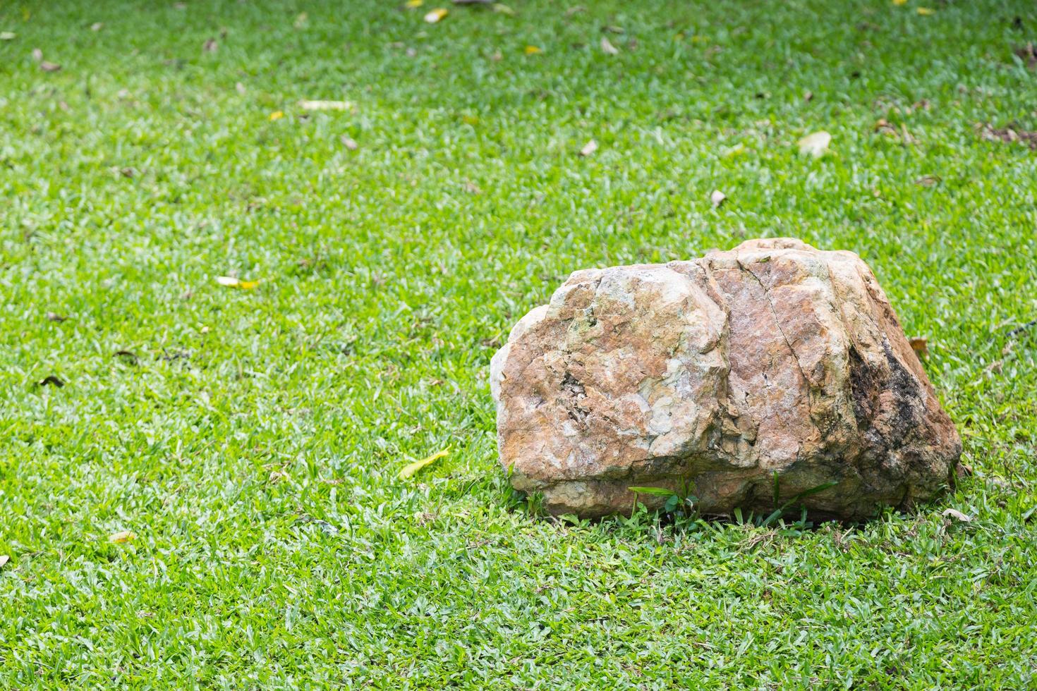 Felsen im Gras foto