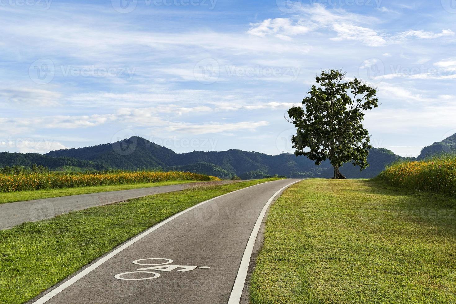 Fahrradweg auf einem Hügel foto