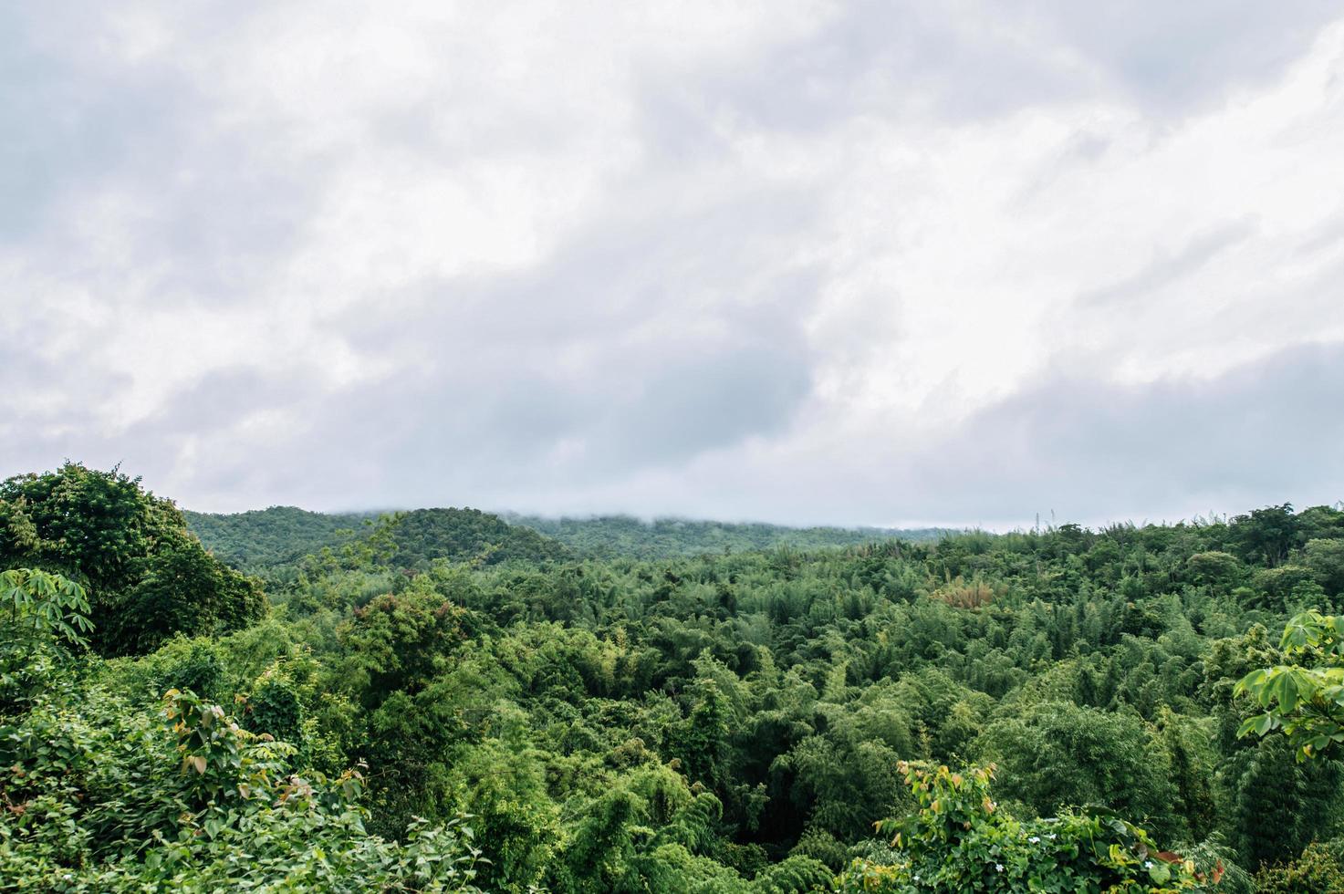 das meer, der himmel und der üppige wald in thailand foto