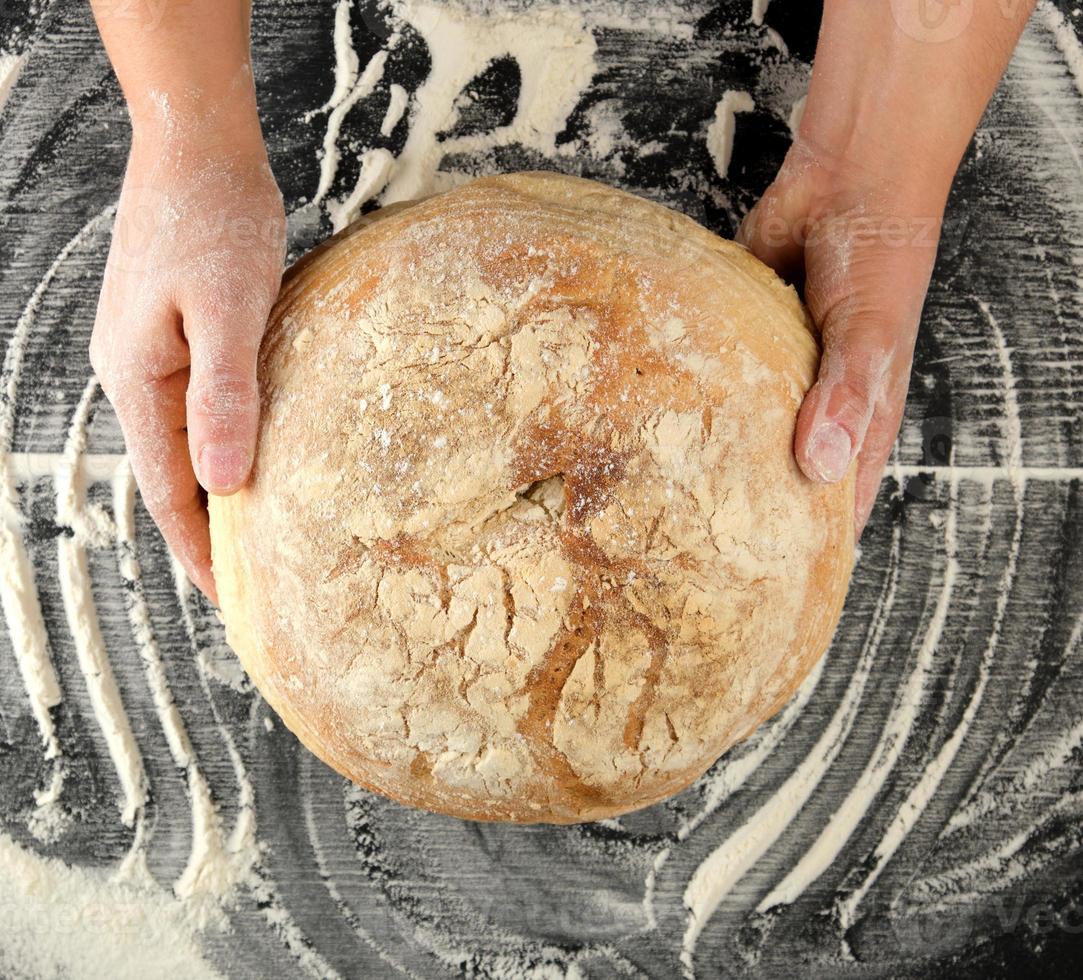 weiblich Hände halten runden gebacken Brot auf ein Tabelle mit Mehl foto