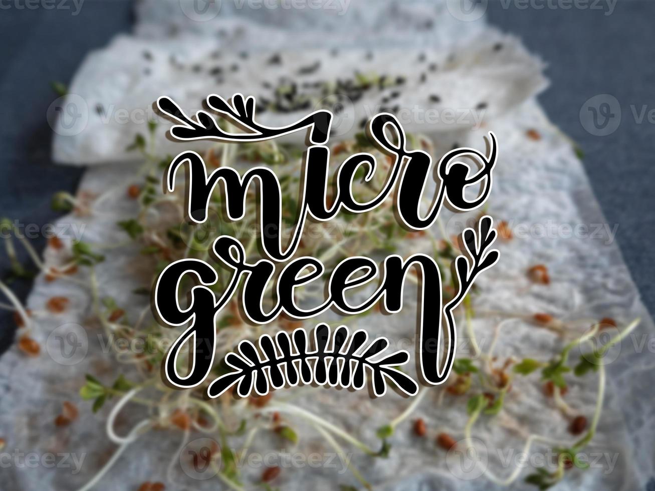 Beschriftung auf Microgreens wachsend Hintergrund. Mikro Grün Sprossen Sämling foto