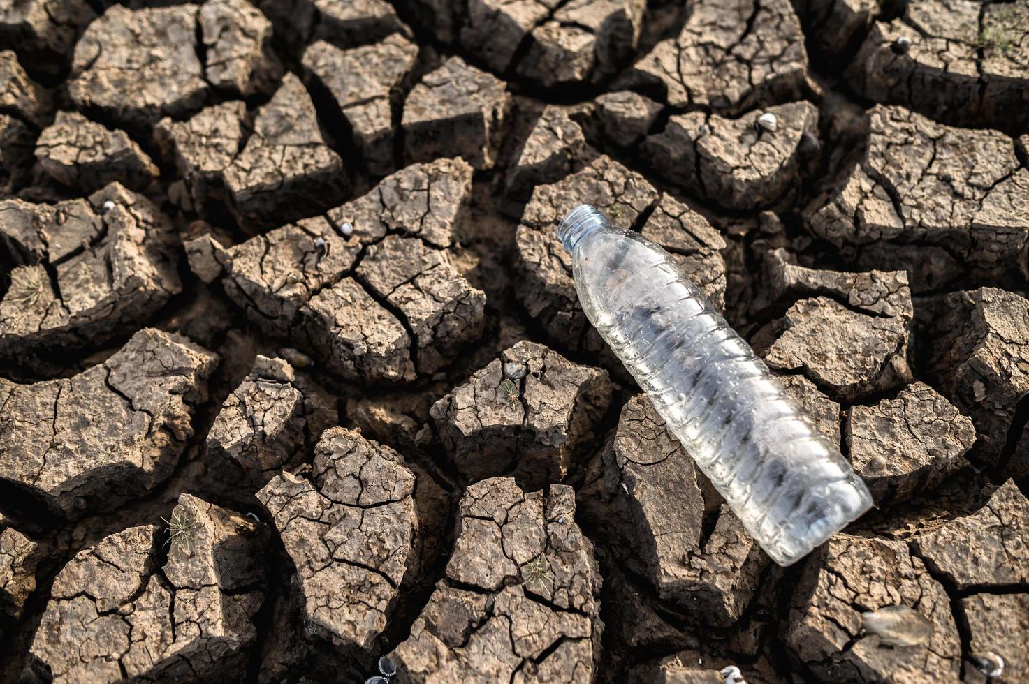 Wasserflasche auf trockenem Boden mit trockenem Land foto