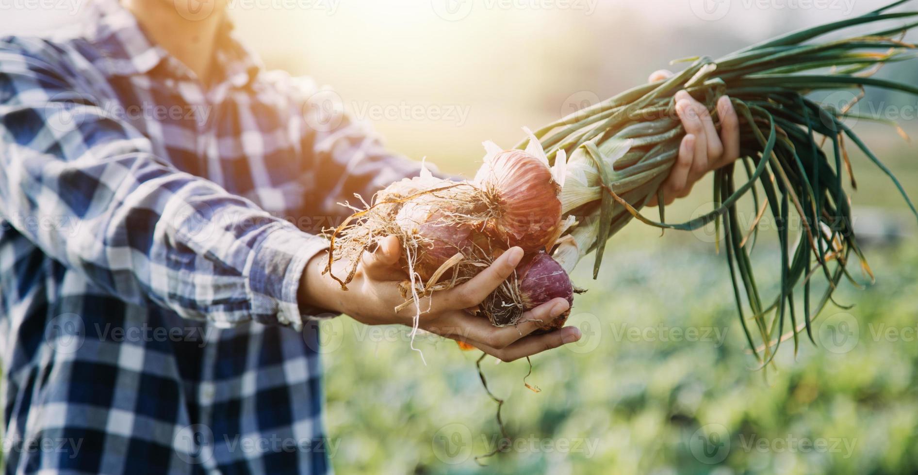 asiatisch Frau und Mann Farmer Arbeiten zusammen im organisch hydroponisch Salat Gemüse Bauernhof. mit Tablette prüfen Qualität von Grüner Salat im Gewächshaus Garten. Clever Landwirtschaft foto