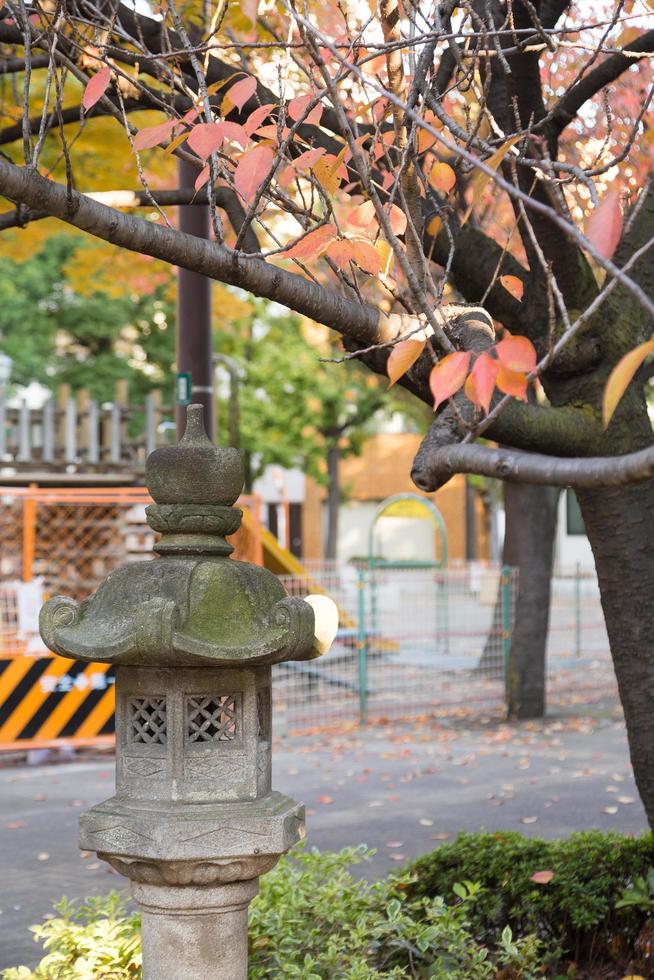 Steinlampe unter dem Baum foto