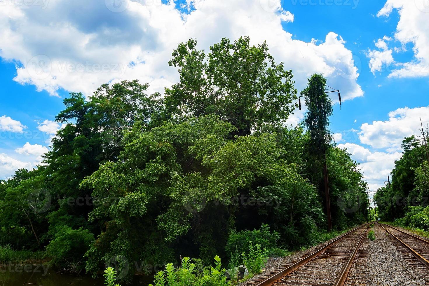 Grüne Bäume am sonnigen Tag des Sees, mit Wolken am Himmel Eisenbahnschienen Straße foto