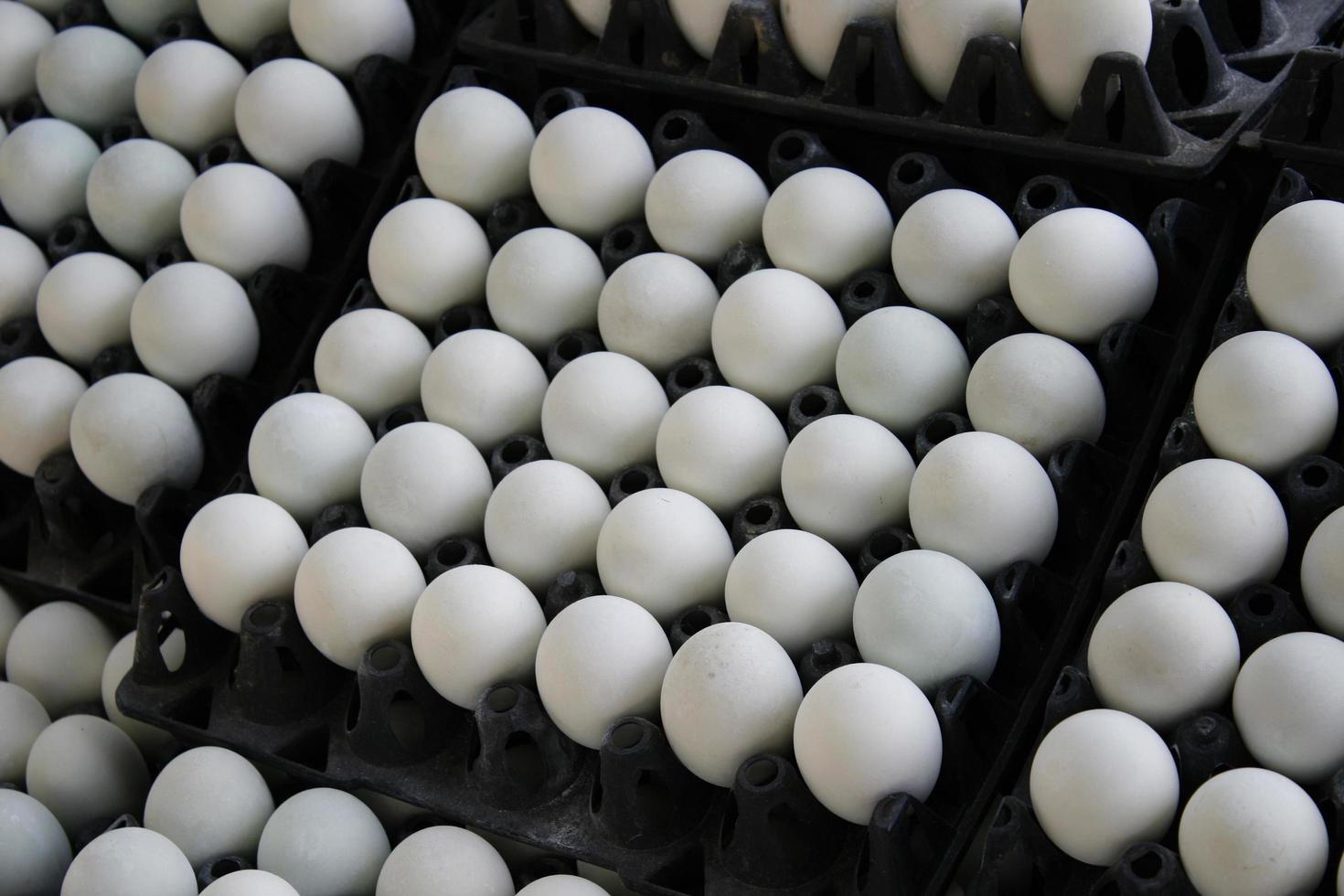 Gruppe von Eiern in Kartons foto