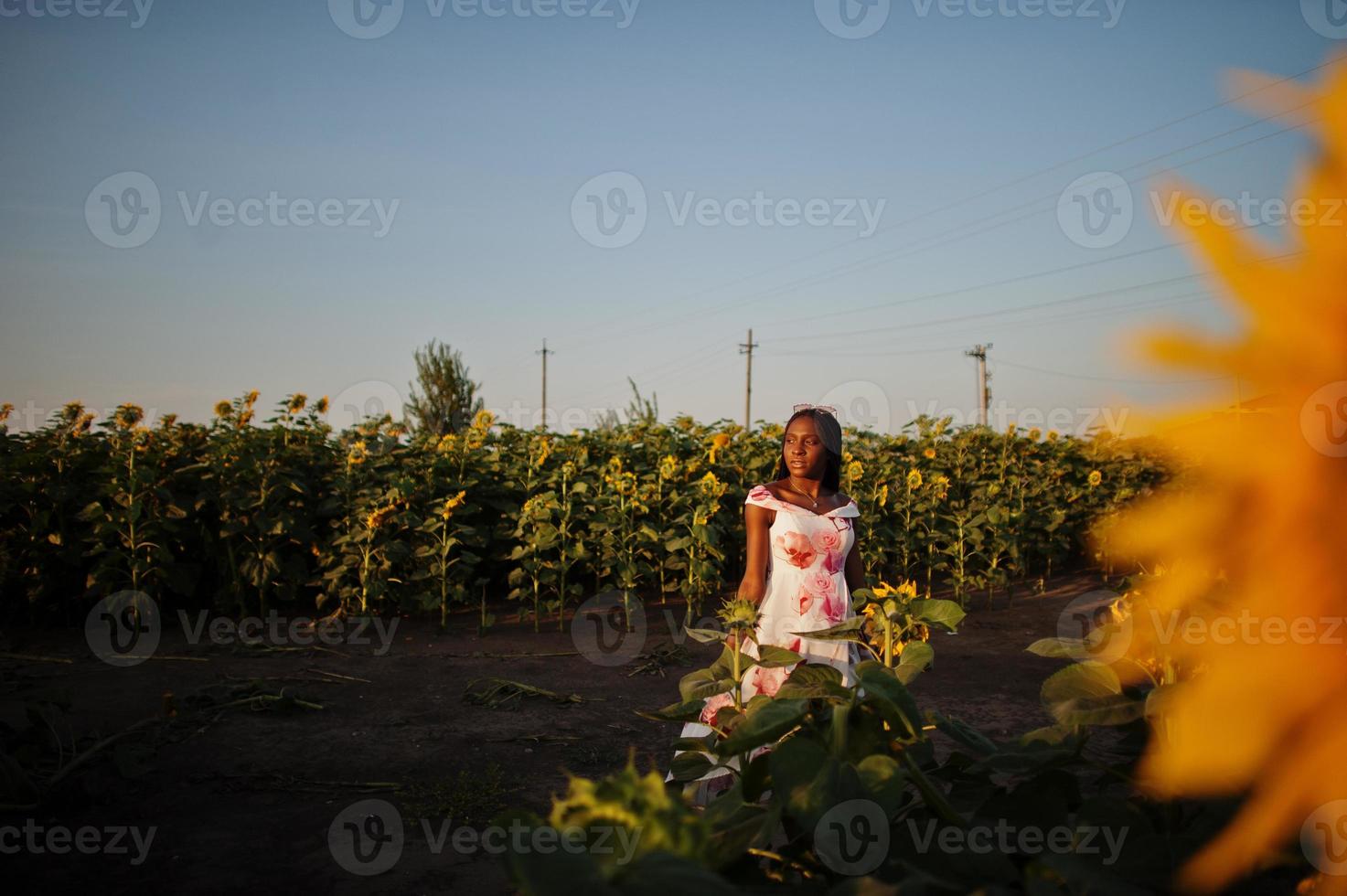 hübsche junge schwarze Frau tragen Sommerkleid Pose in einem Sonnenblumenfeld. foto