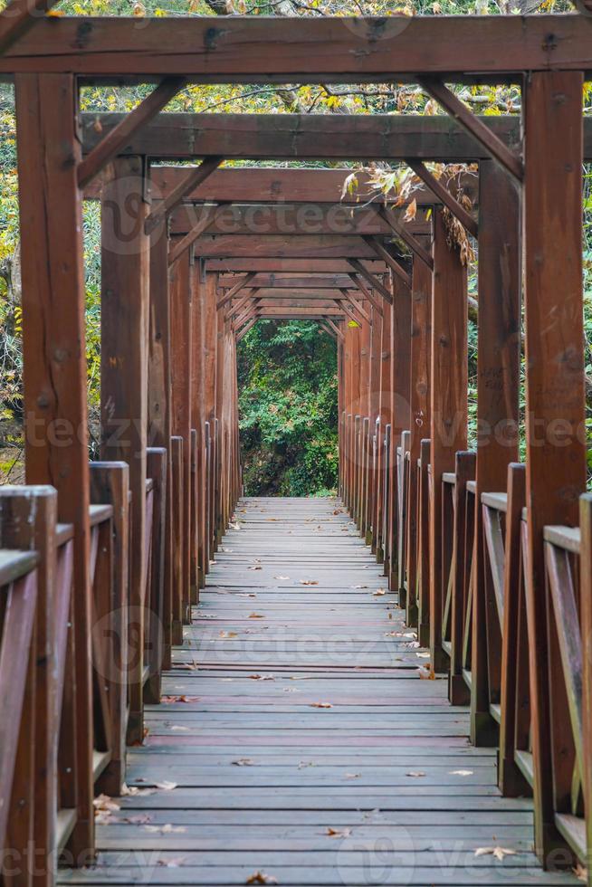 Brücke im kursunlu Wasserfall im Antalya, turkiye foto