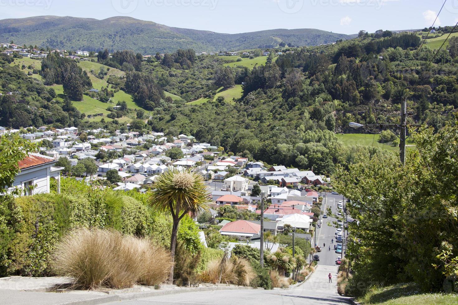 Dunedin Stadt, Dorf Aussicht von baldwin Straße - - das steilste Straße im das Welt foto