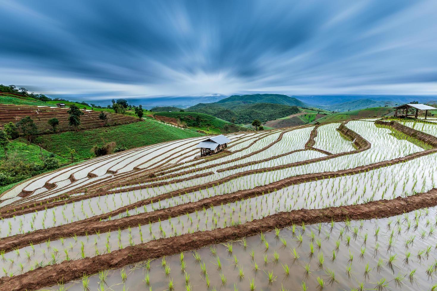 terrassiert Paddy Feld im mae-jam Dorf , Chaingmai Provinz , Thailand mit radial verwischen Wirkung. foto