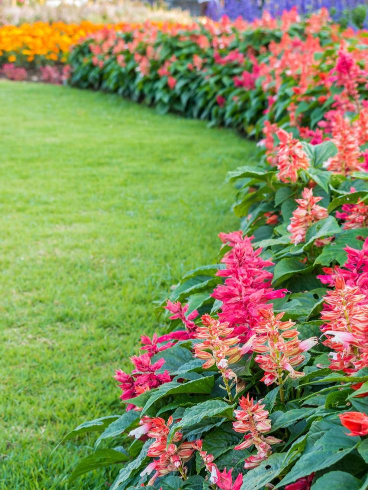 bunt Blumenbeete und Wicklung Gras Weg im ein attraktiv foto