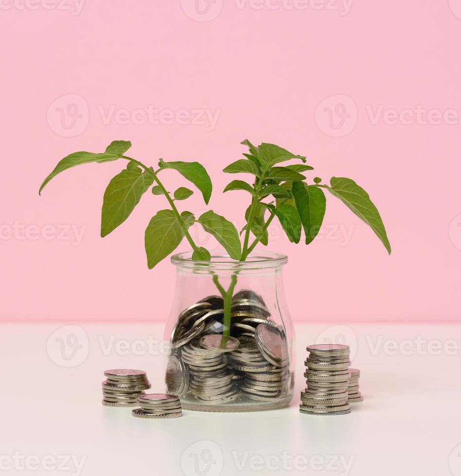 Weiß Münzen im ein Glas Krug und auf das Tisch, sprießen mit Grün Blätter auf ein Weiß Tisch. Einkommen Wachstum Konzept, hoch Prozentsatz von Investition foto