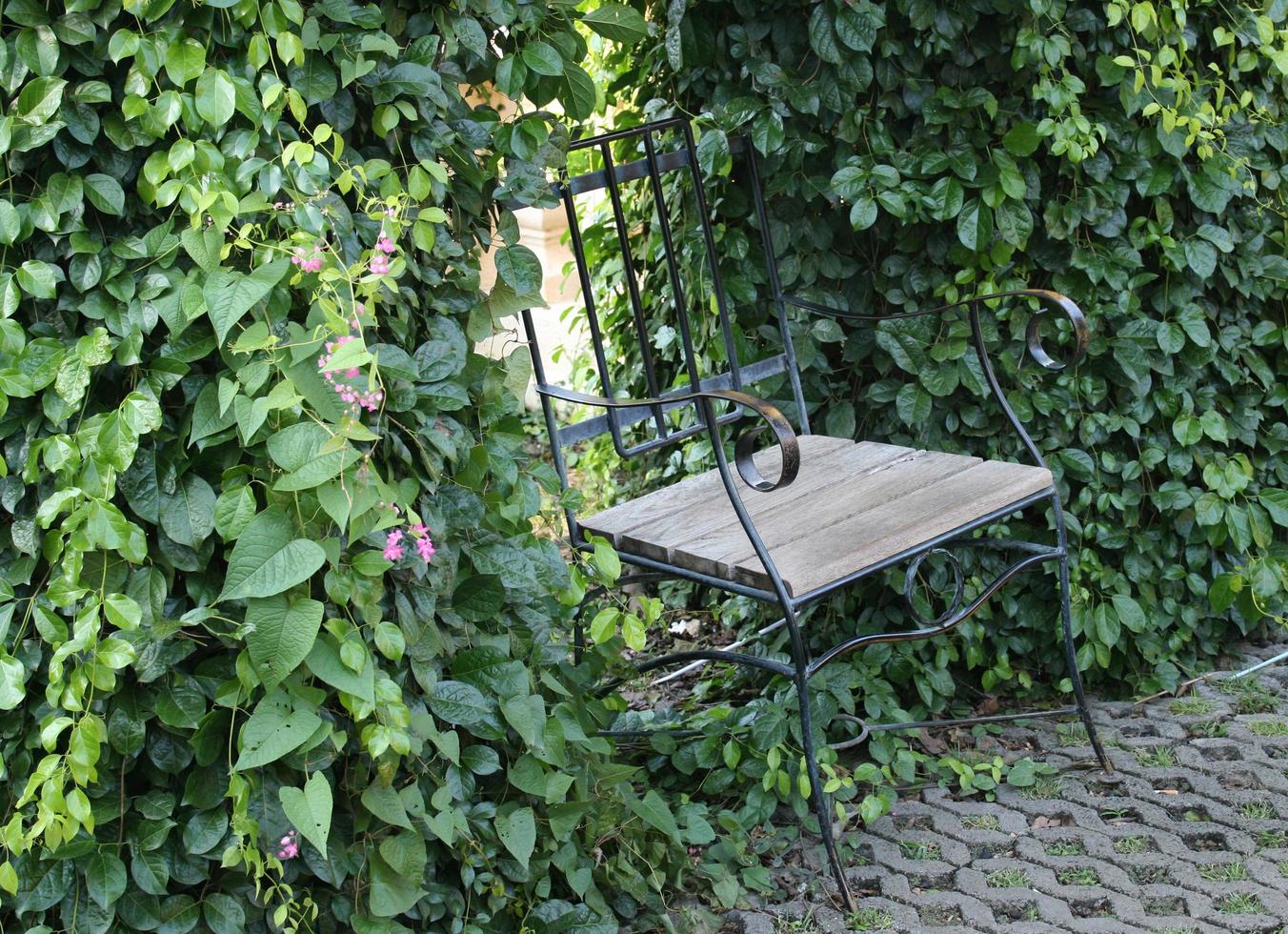 Stuhl im Garten foto