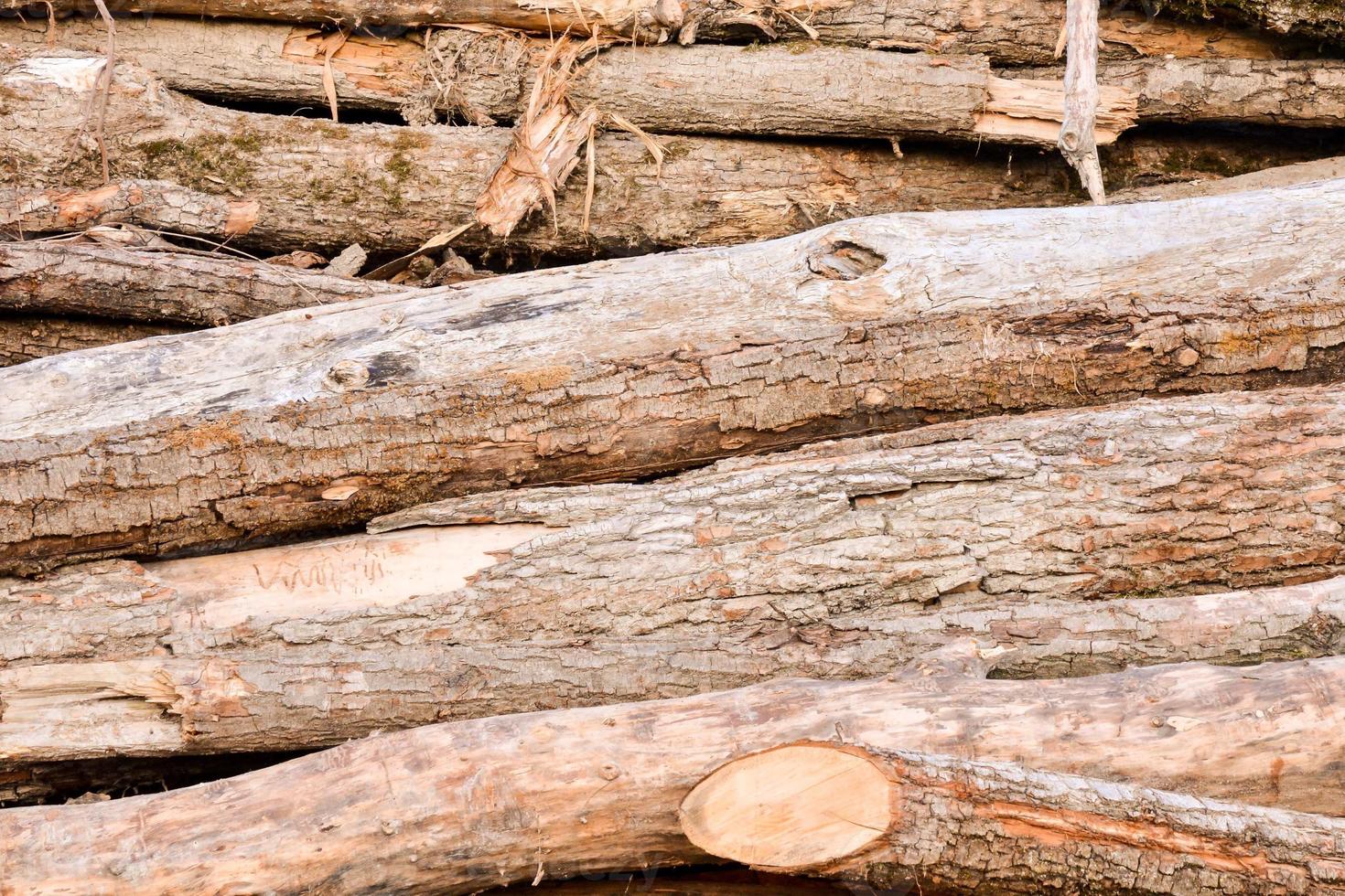 Stapel von Holz foto