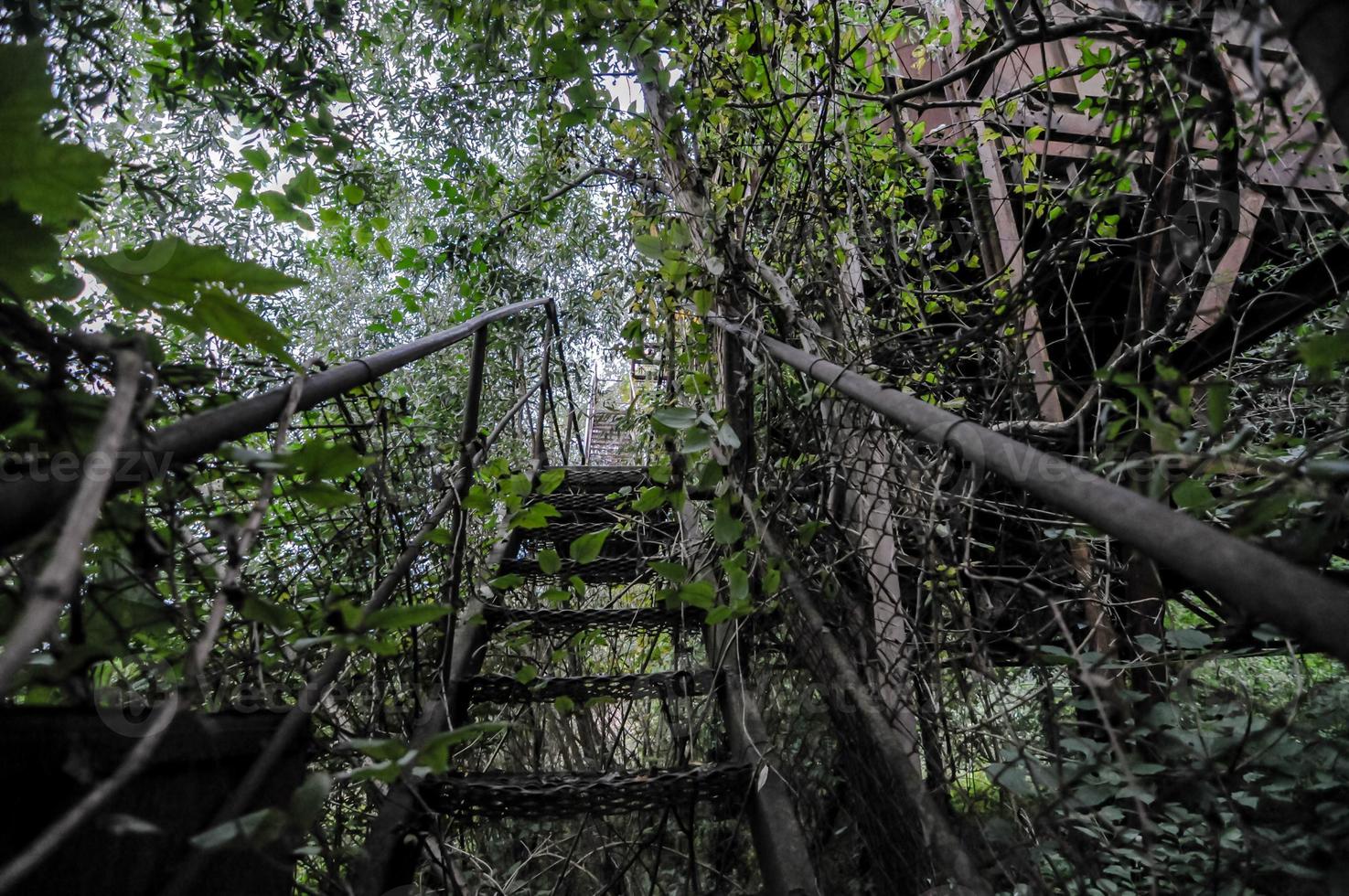 verlassen bewachsen Treppe foto