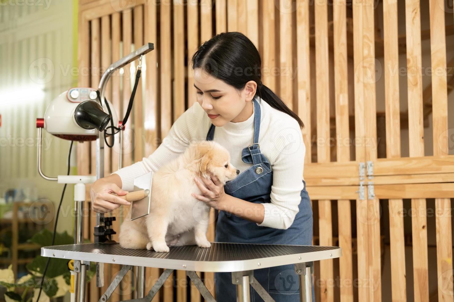 weiblich Fachmann Pistenfahrzeug Kämmen Hund Pelz beim Haustier Spa Pflege Salon foto