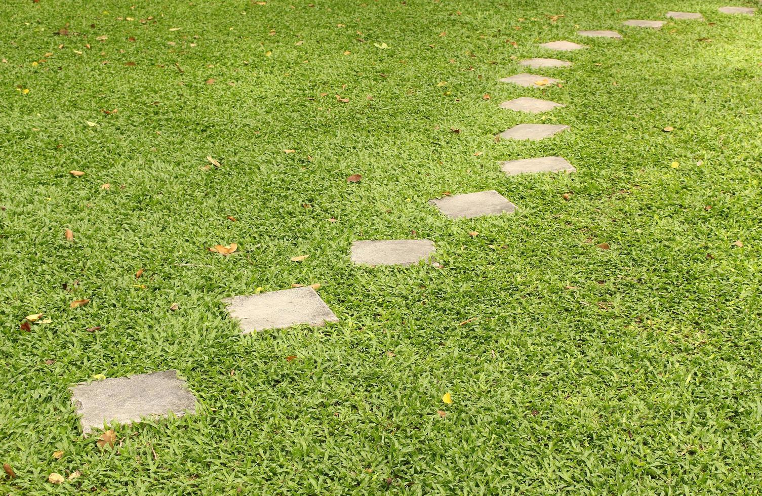 Steinweg auf dem grünen Gras foto