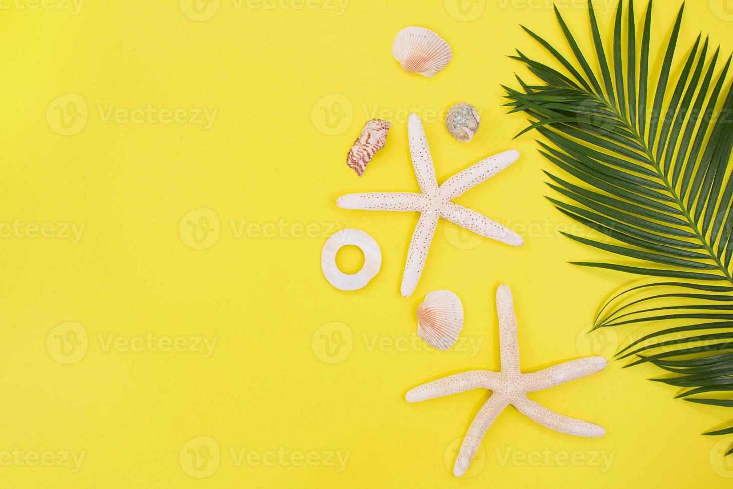 Seestern, Muscheln mit Palme Baum Ast im Seite auf Gelb Hintergrund. Konzept von Sommer- Zeit, Urlaub, Reise. Kopieren Raum foto