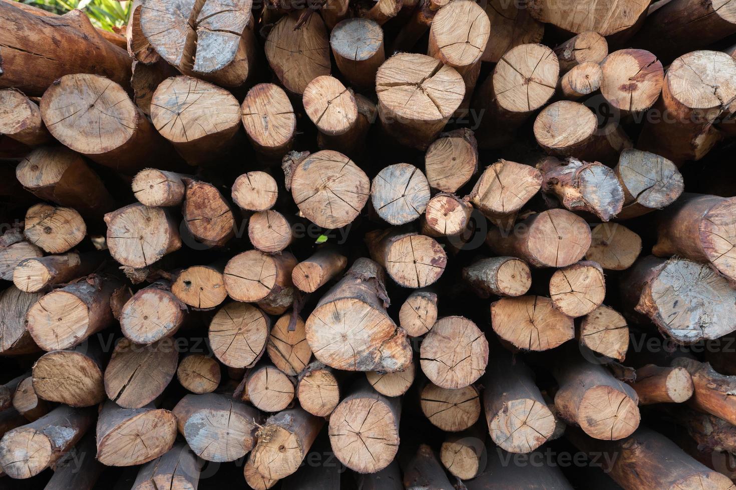 Holzhaufen foto