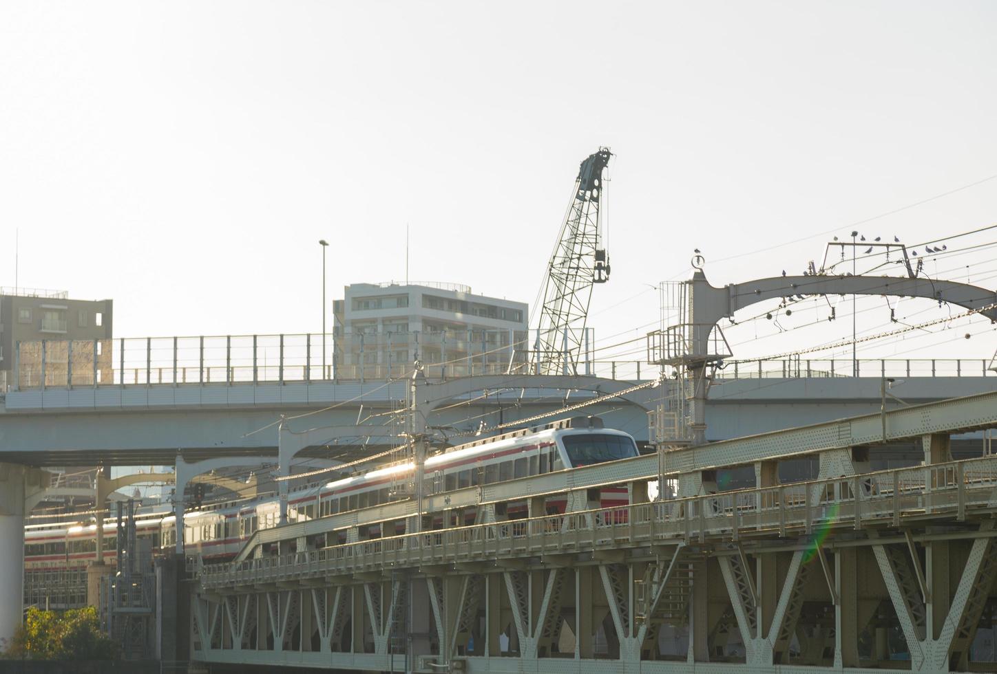 Zug auf der Brücke in Tokio foto