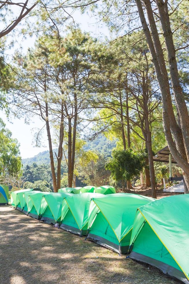 grüne Zelte auf dem Rasen in Thailand foto