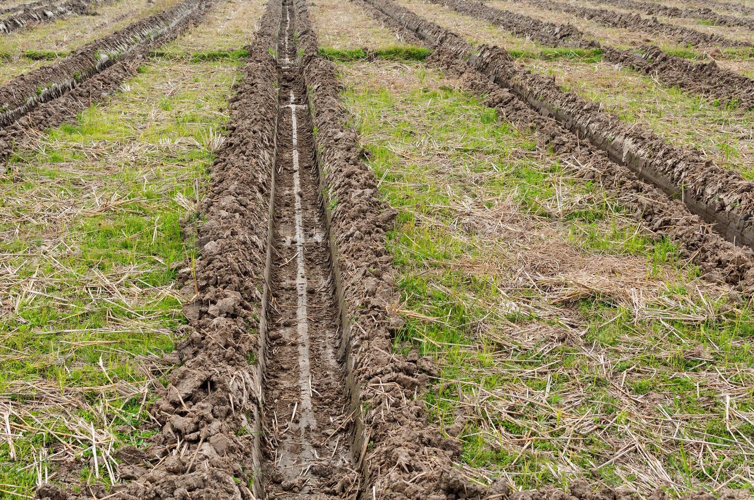 frisch gemacht landwirtschaftlich Feld Textur, Anbau von das Feld Land foto