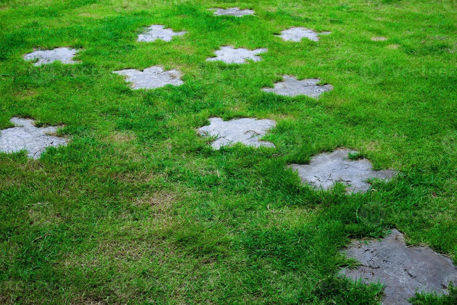 Gehweg auf Grün Gras beim Garten, a Weg, Gehweg von das parken, einige Block von Stein platziert auf das Boden Gras foto