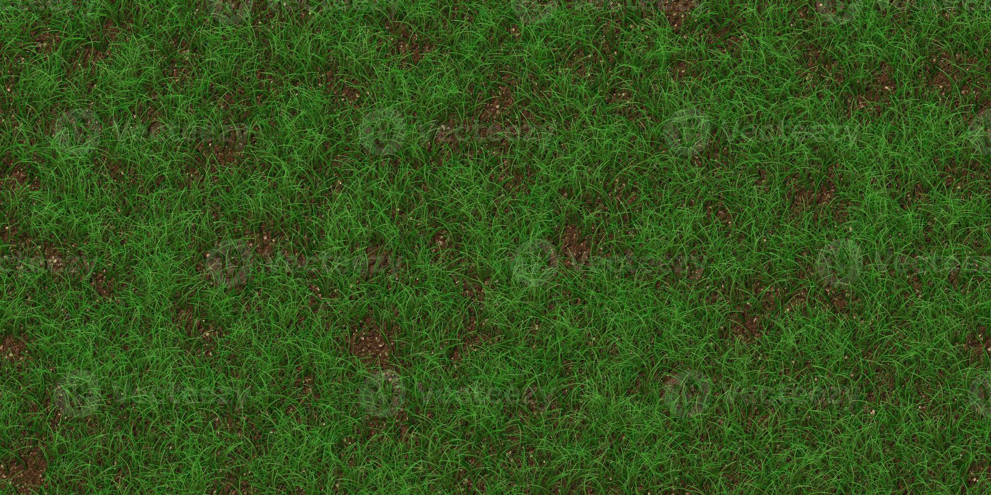 Selten texturiert Wiese Hintergrund. Gras Textur. Feld Hintergrund. Park Rasen Muster. foto