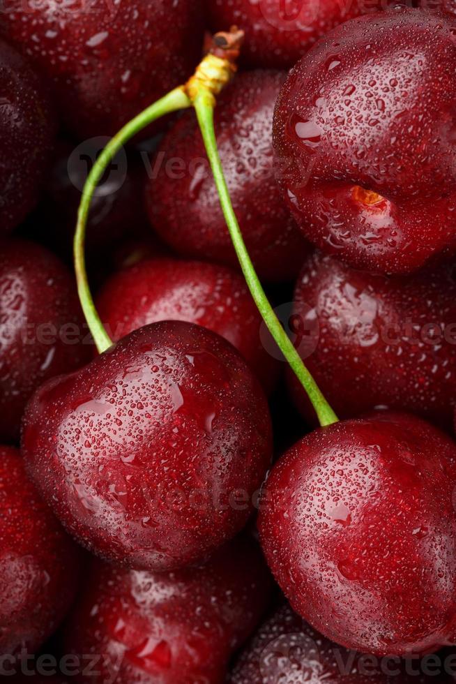 Reife und frische Beeren einer Süßkirsche mit Wassertropfen in der Nähe. foto