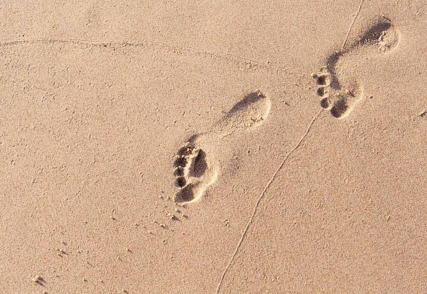 Fußspuren im Sand foto