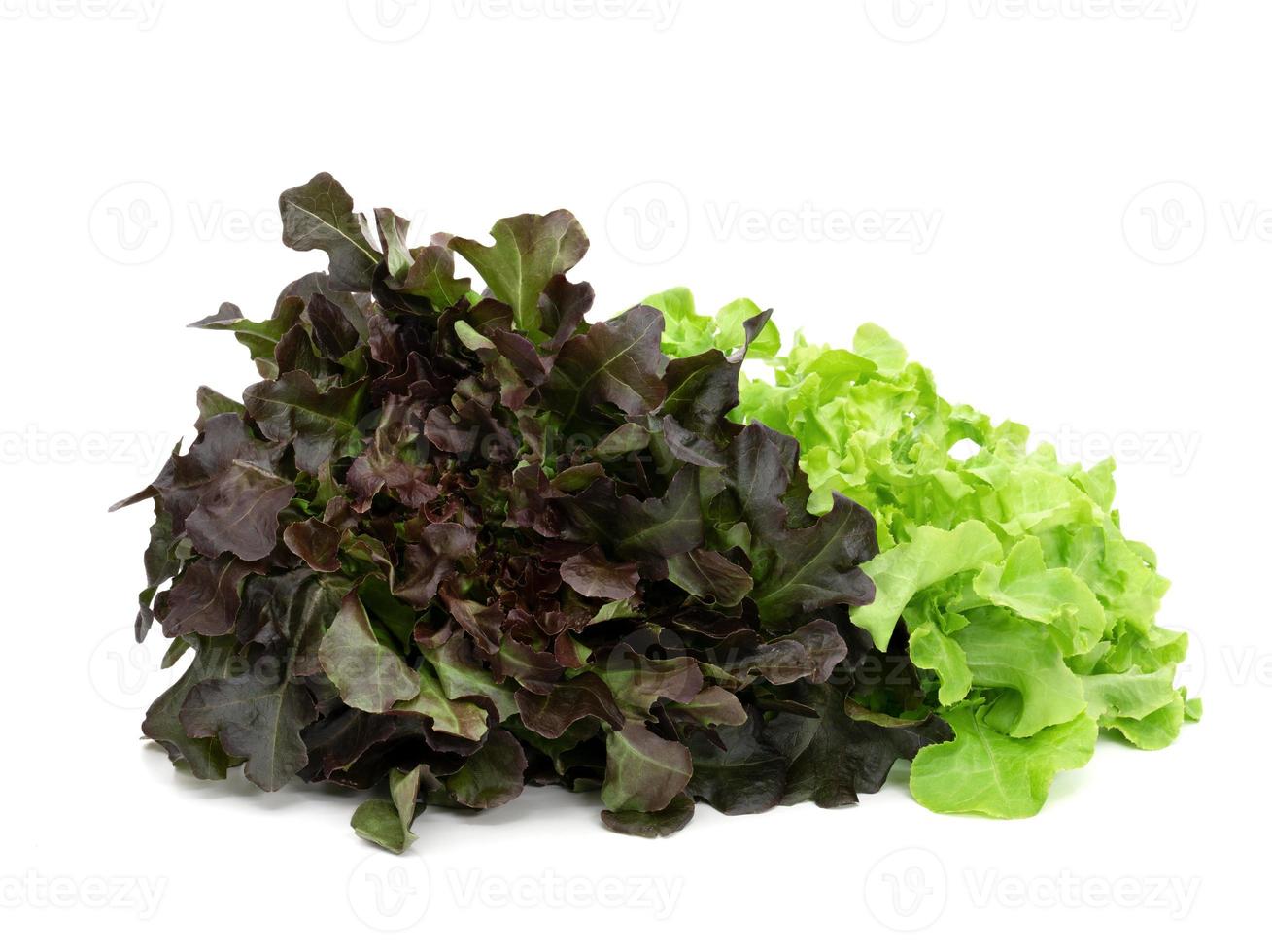 frisch Grüner Salat Blätter Muster isoliert auf Weiß Hintergrund foto