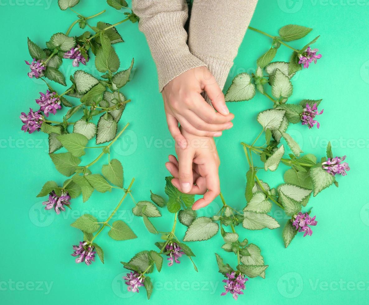 zwei weiblich Hände und Rosa klein Blumen foto