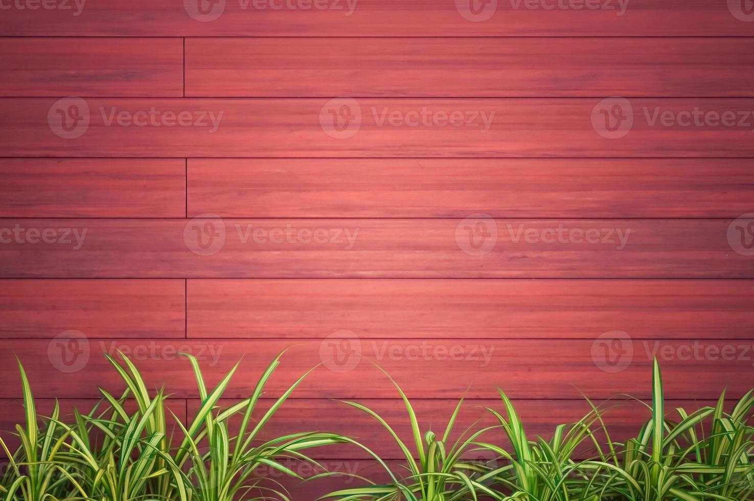 Holz Textur Hintergrund mit Pflanzen foto