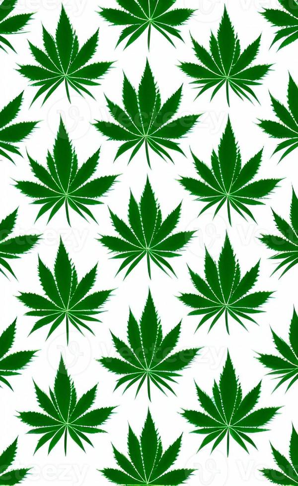 Grün Marihuana Blatt im Natur Muster Design foto