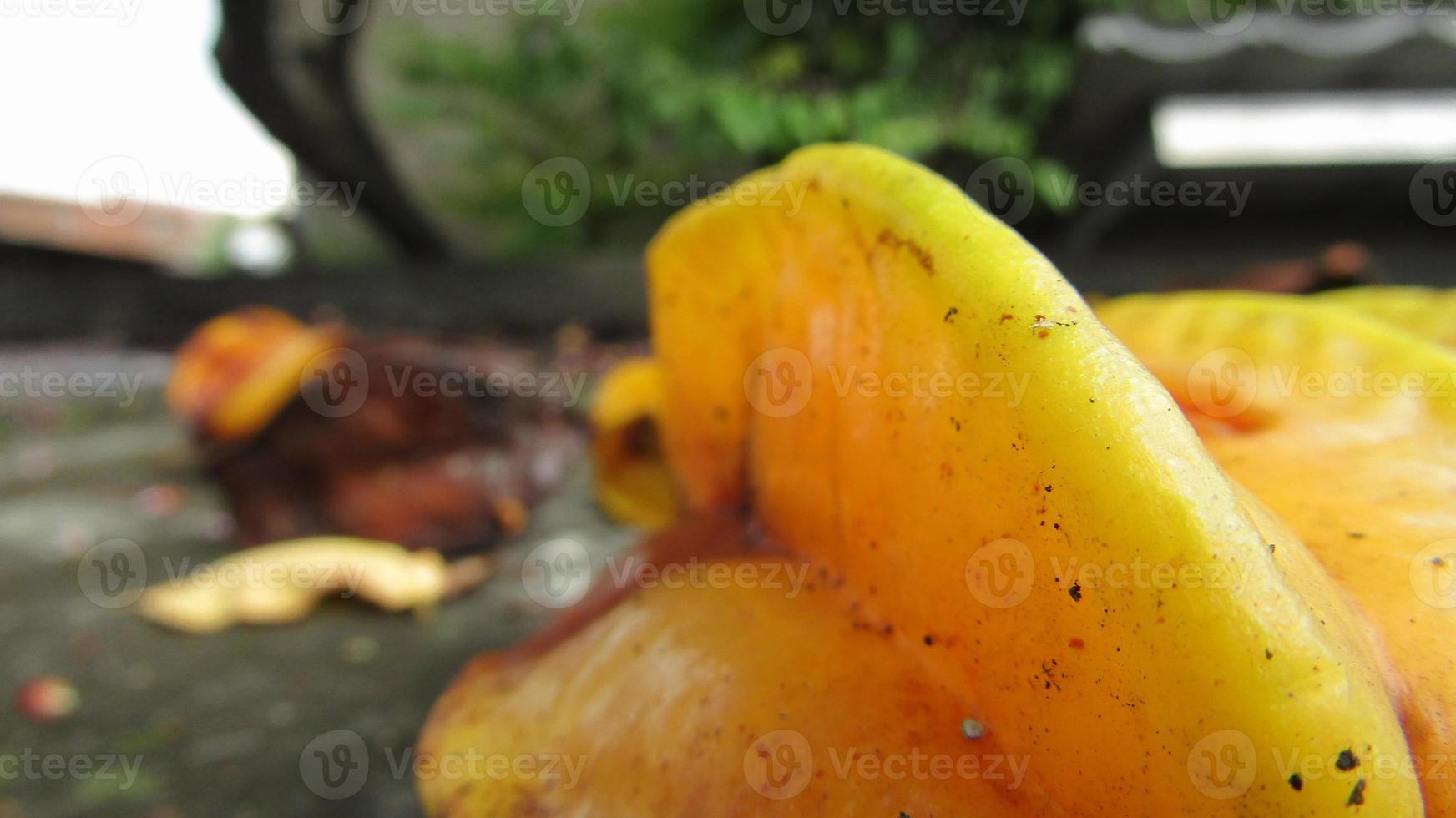 Gelb reif Stern Früchte schließen oben tropisch Früchte foto