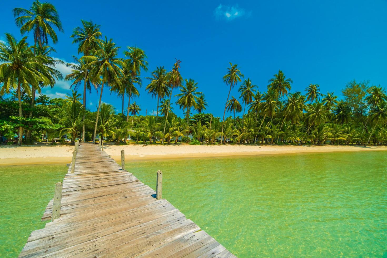 Holzpier am tropischen Strand foto