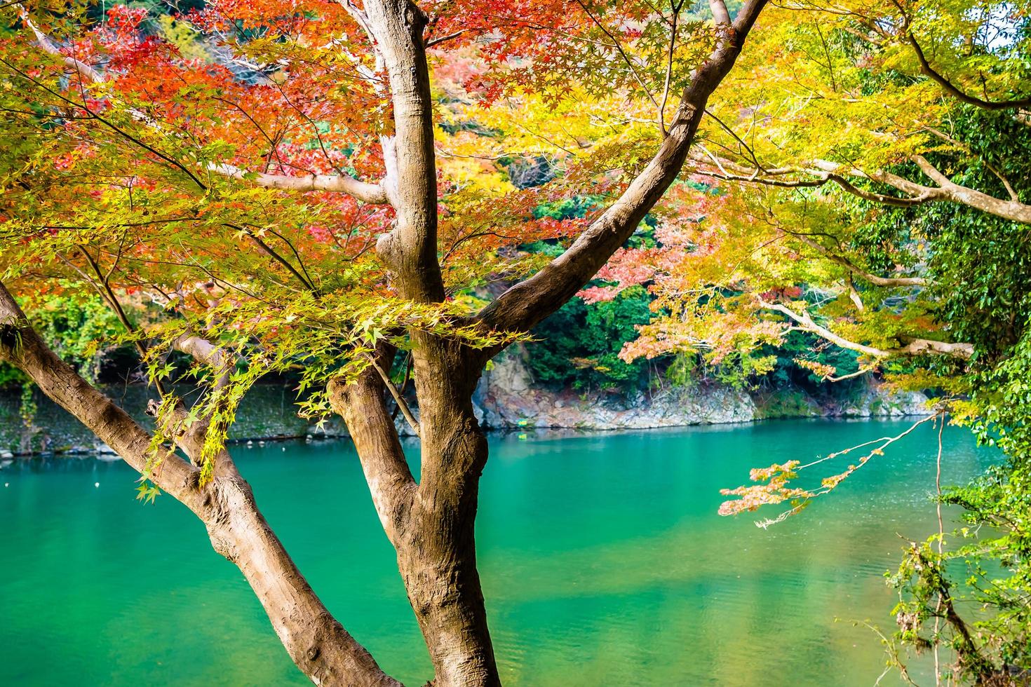 schöner arashiyama Fluss bei Kyoto, Japan foto