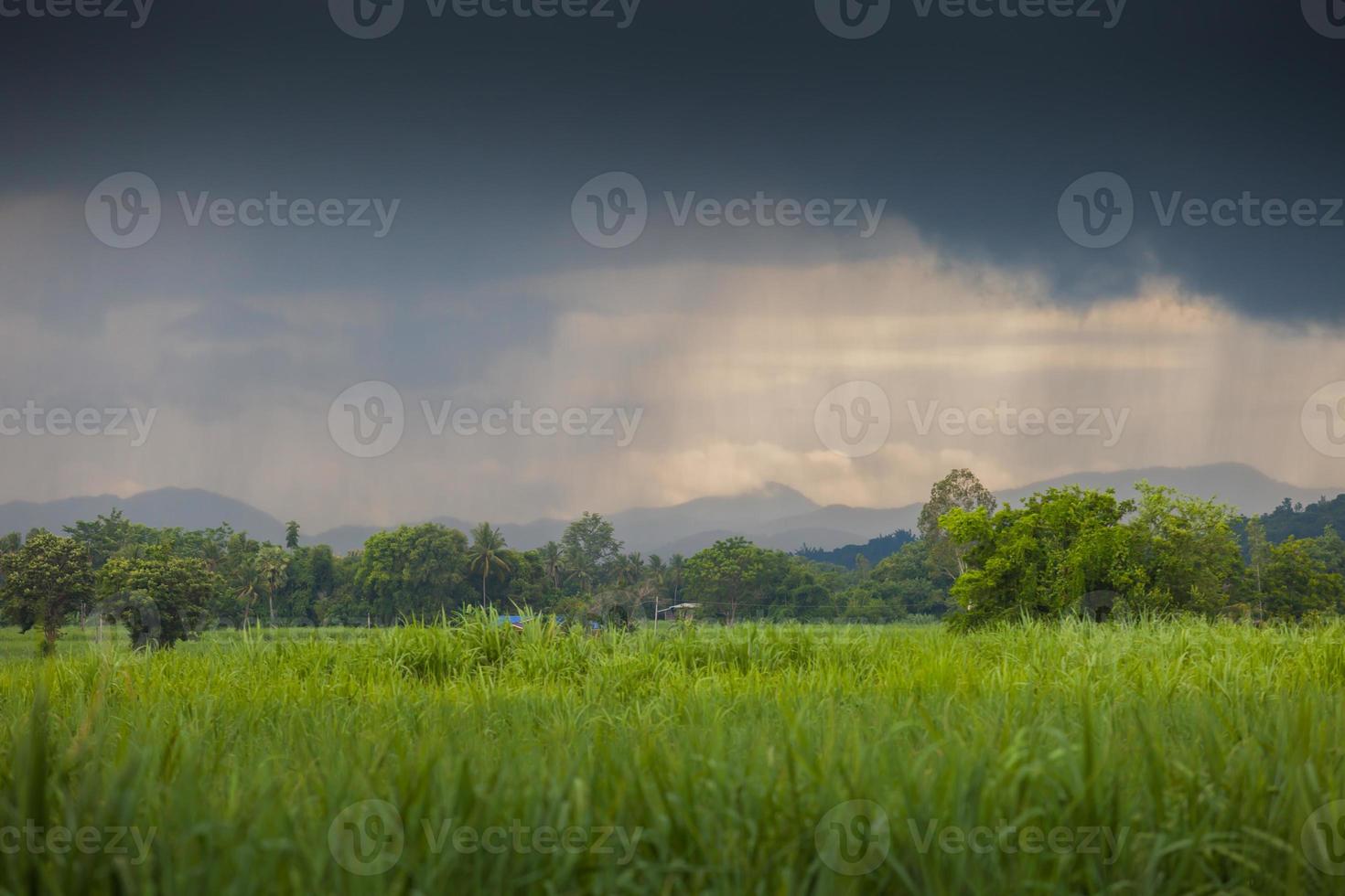 Regenwolken mit einem grünen Feld foto