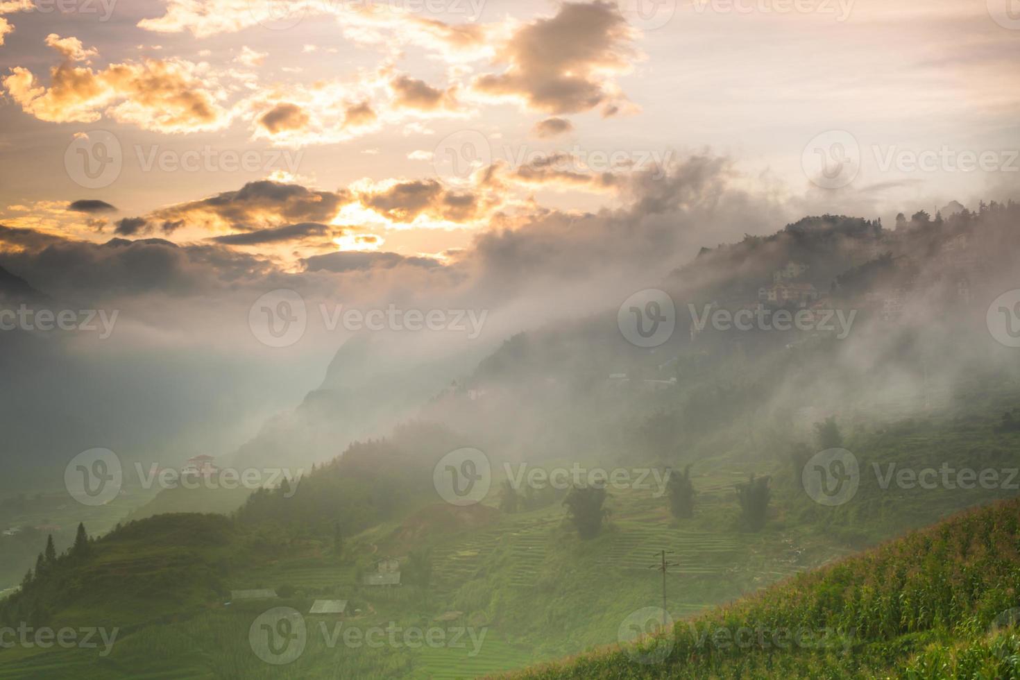 Reisterrasse auf Hügel bei Sonnenaufgang foto