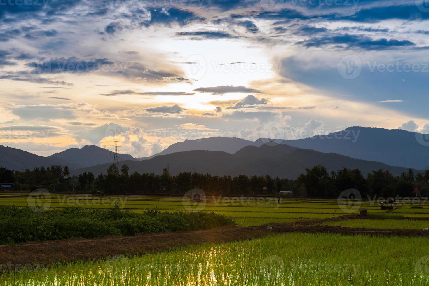 Sonnenuntergang über einem Reisfeld foto