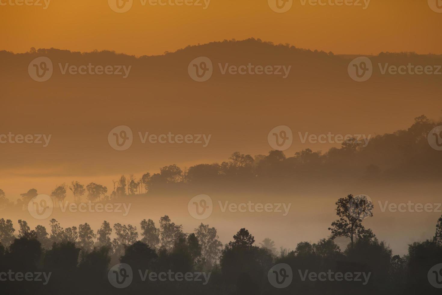 Sonnenaufgang über nebligen Bergen mit Bäumen foto