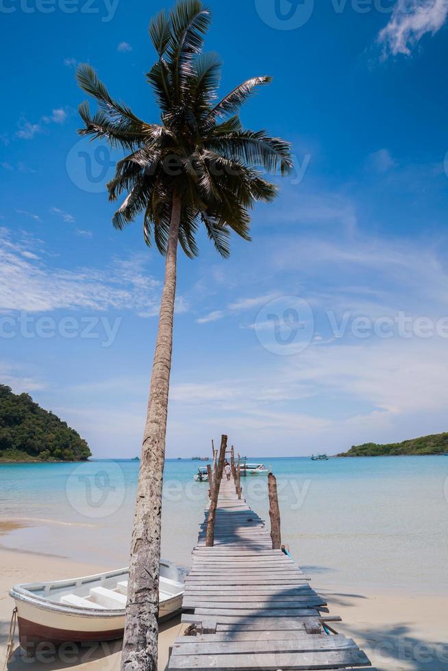 Holzbrücke und Palme mit einem Boot foto