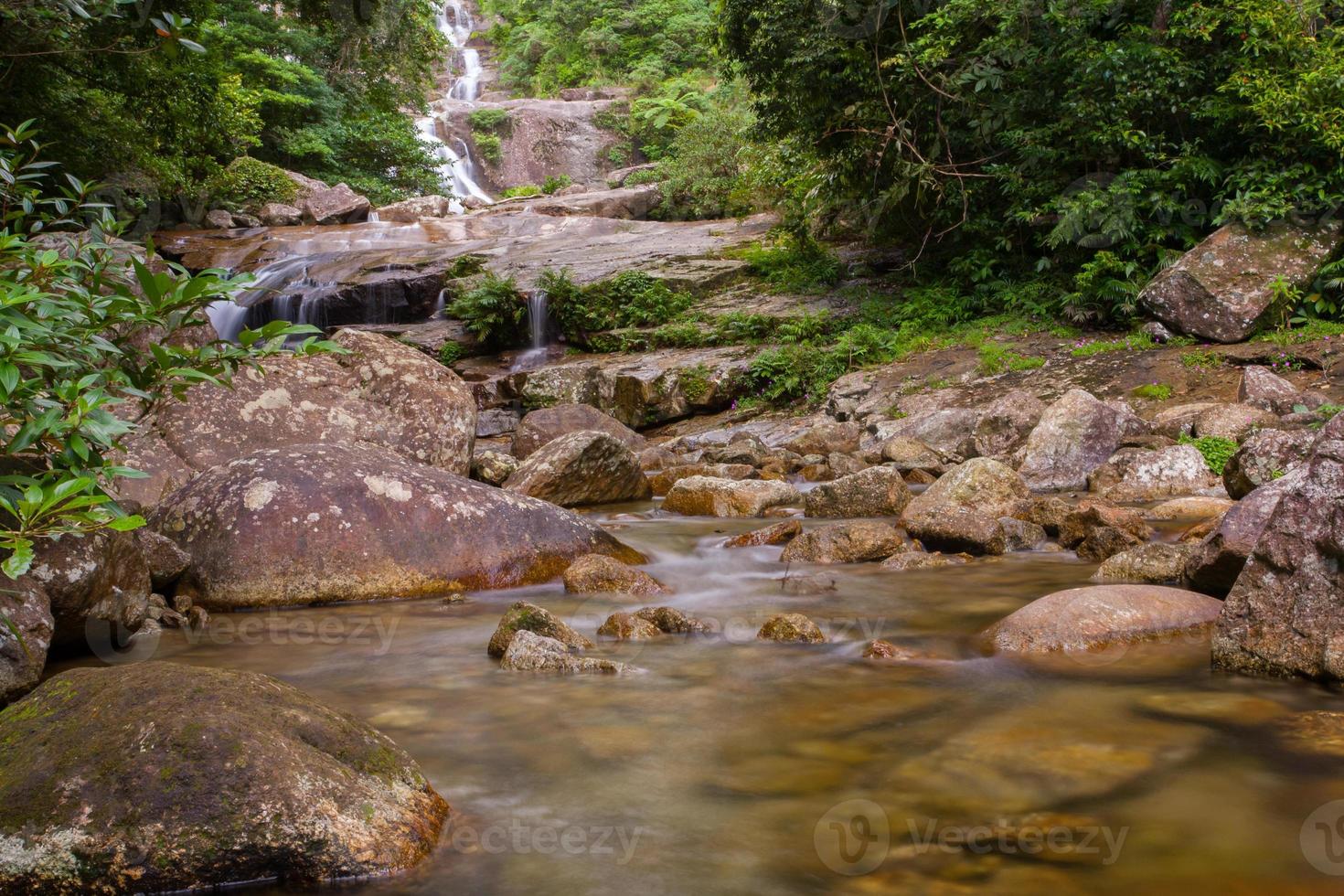 Wasserfall auf Felsen im Wald foto