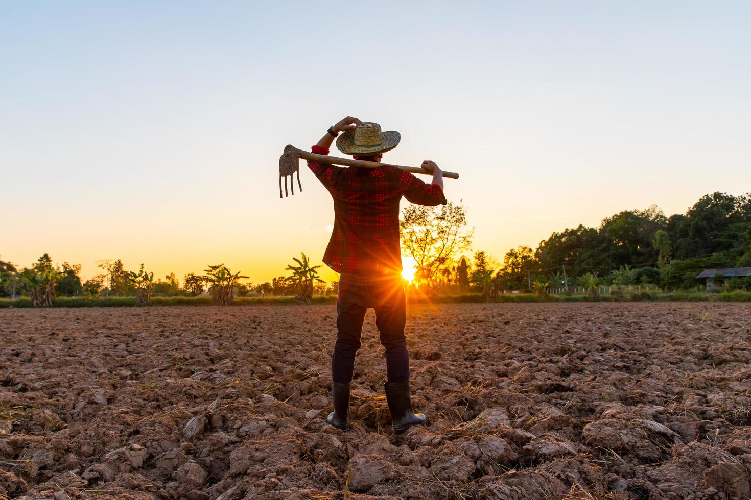 Farmer Arbeiten auf Feld beim Sonnenuntergang draussen foto